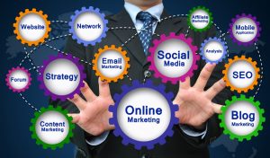 Nosotros - Web Expertos PMO